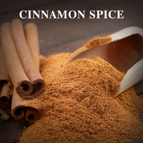 Cinnamon Powder Plastic Shaker 5.29 oz | HIMALAYAN CHEF